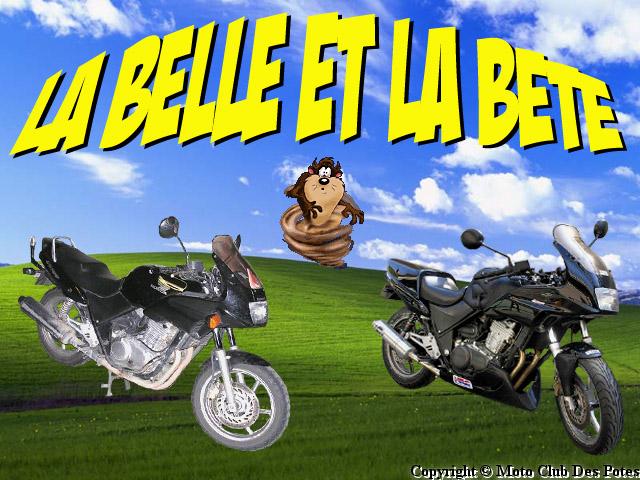 Copyright © Moto Club Des Potes