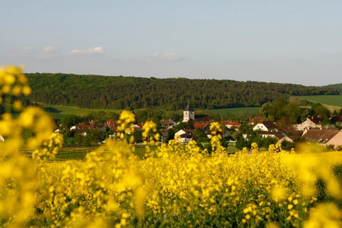 ©photo Bertrand Thiébault